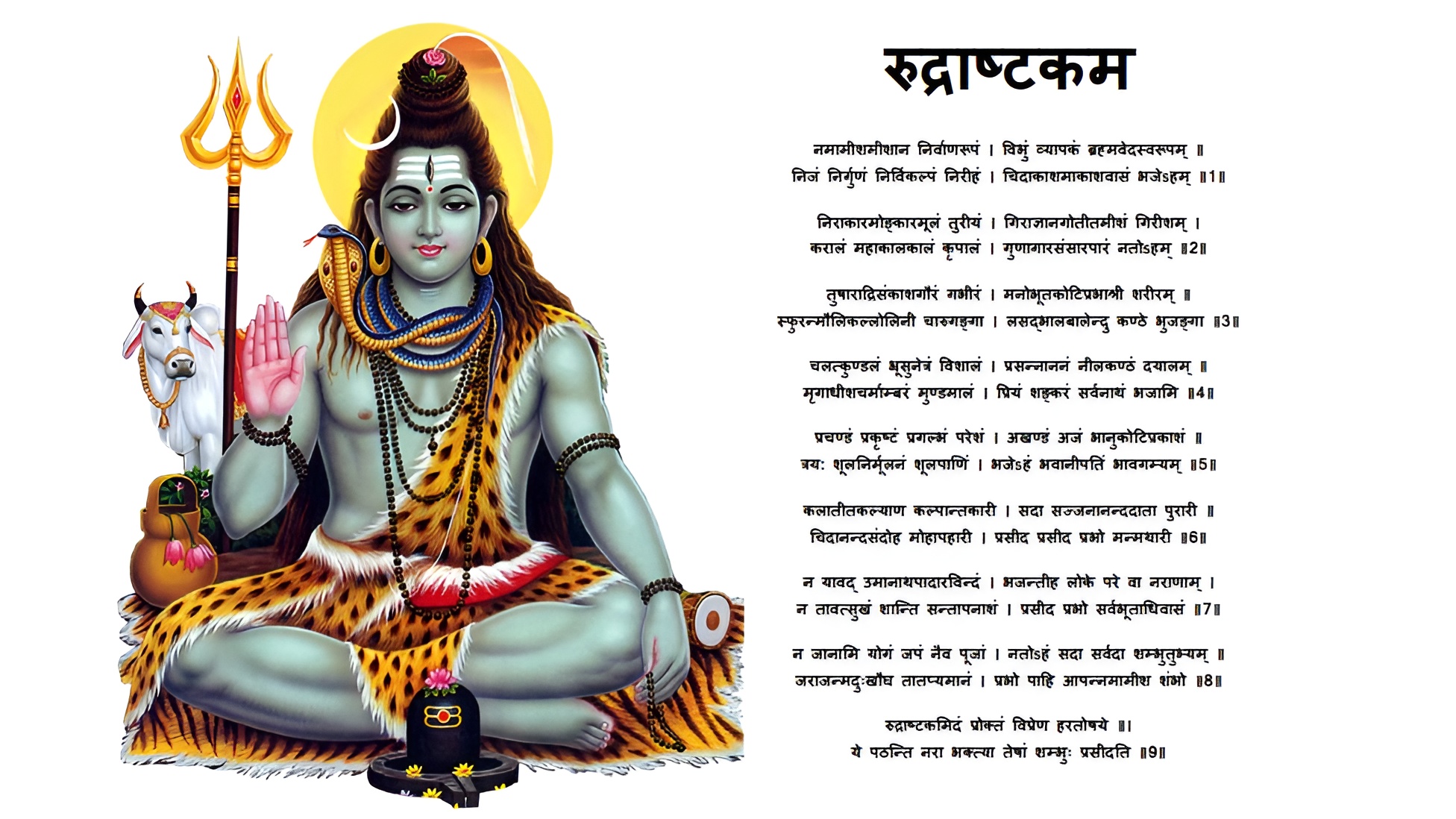 Read more about the article शिव रुद्राष्टकम Shiv Rudrashtakam – भगवान शिव को जल्द प्रसन्न करने के लिये